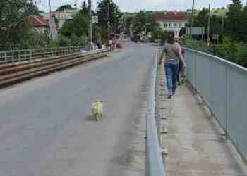 Боя за пътна маркировка прати двама мъже от Басарбово в болницата